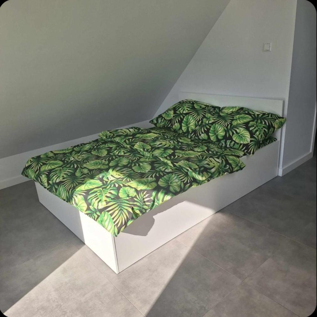 Apbapartamenty 奥古斯图 外观 照片